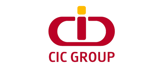 CIC-vasili-Africa-Partner