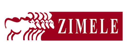 Zimele-vasili-Africa-Partner